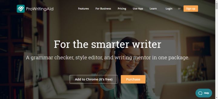 ProWritingAid Grammar Checker - Black Friday Sale